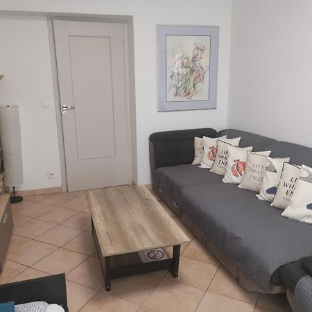The Nice - 3 Rooms, 3Air Cond, 3Tv, 3Fans, 2 Wc, Wifi Everywhere 5Min Aeroport, Train, Beach, 1Min Tram, 15 Min Centre, Port, Parking Possible Buitenkant foto